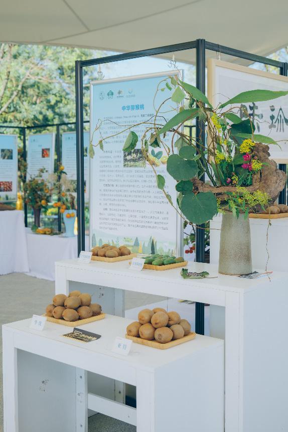 2024植物总动“园”全国科普活动秦岭国家植物园站圆满结束！