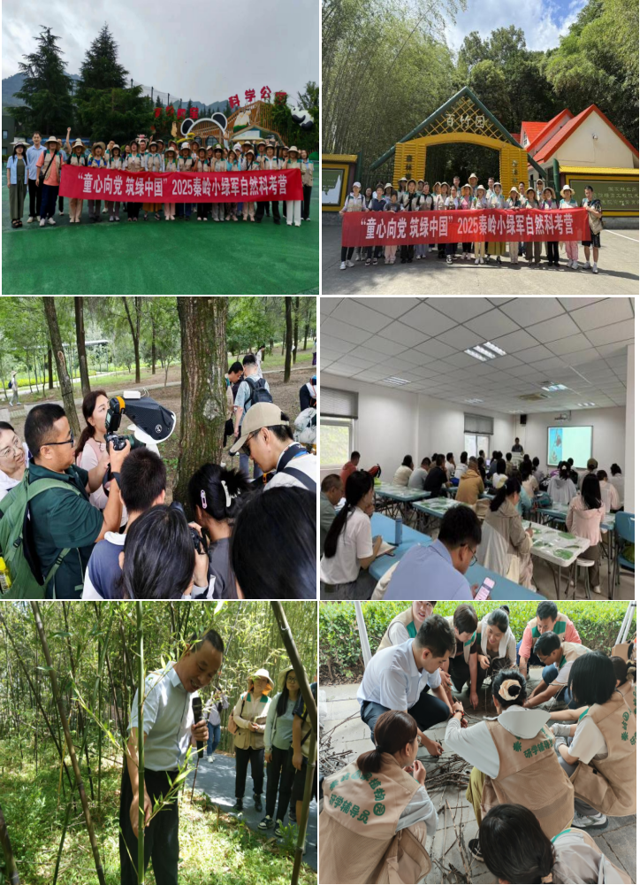 2025年秦岭小绿军自然科考营研学辅导员培训圆满完成
