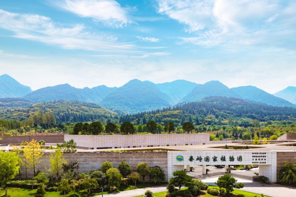 “童心向党 筑绿中国”|2025年秦岭小绿军科考营公益活动招募