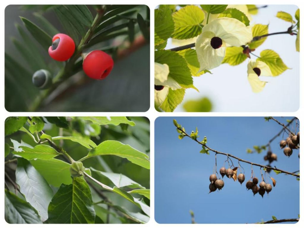 “童心向党 筑绿中国”|2025年秦岭小绿军科考营公益活动招募