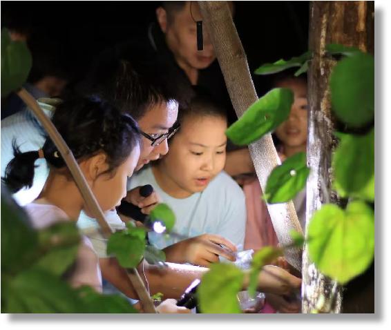 “童心向党 筑绿中国”|2025年秦岭小绿军科考营公益活动招募