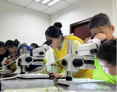 “童心向党 筑绿中国”|2025年秦岭小绿军科考营公益活动招募