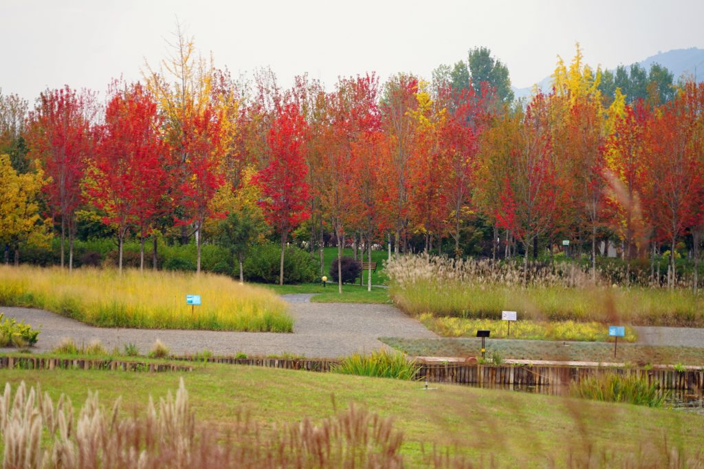 致敬园丁，秋日献礼——秦岭国家植物园连续5天面向全国教师及随行人员免费开放