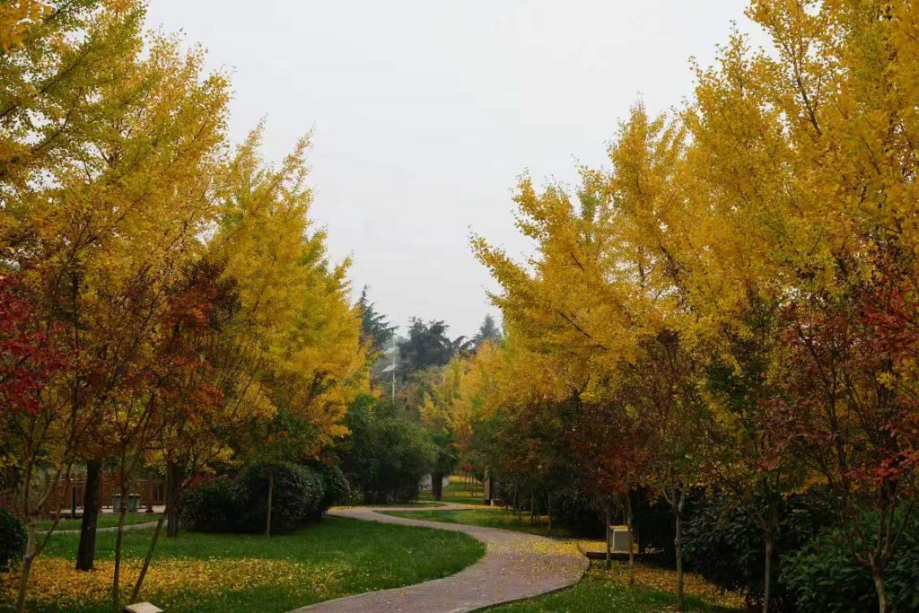 致敬园丁，秋日献礼——秦岭国家植物园连续5天面向全国教师及随行人员免费开放