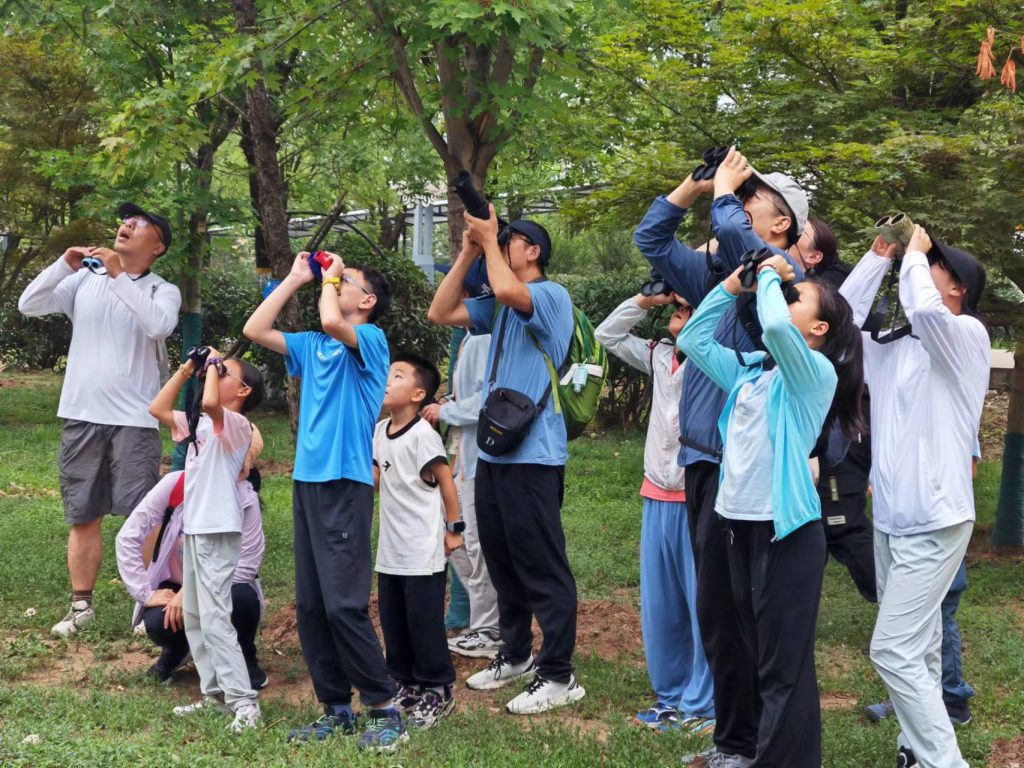 “关注森林·关爱鸟类”自然教育公益活动招募