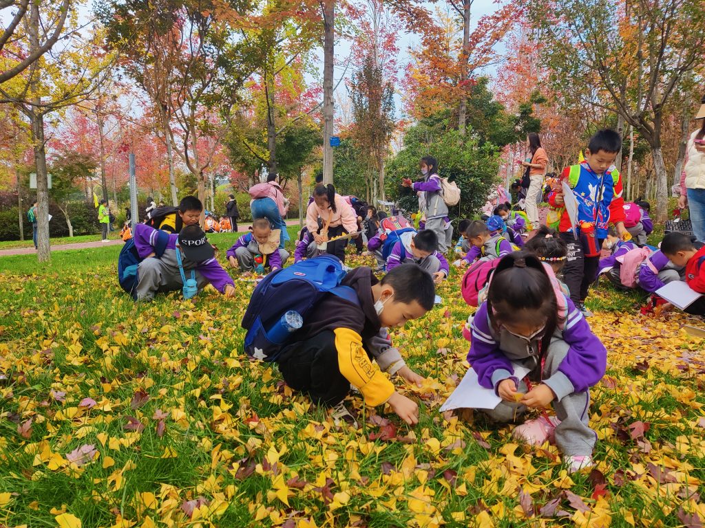 “关注森林·关爱鸟类”自然教育公益活动招募