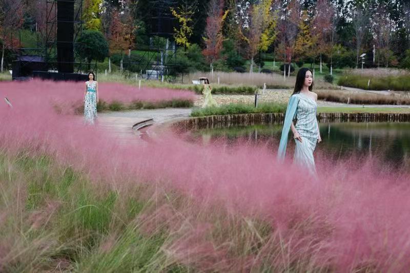 在秦岭脚下体验生态艺术交织盛宴 感受秦岭万物和合之美