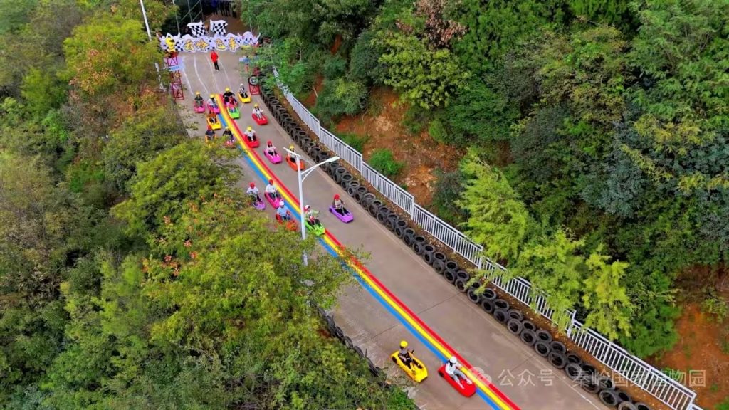 双节圆满收官｜秦岭国家植物园秋日盛景引客来，创新服务赢好评